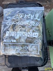 여수그린나래호/ 9월 14일 토실토실 쭈꾸미낚시조황!!(수요일 소수자리가능 !)