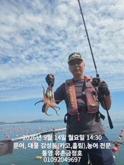 통영 금정호 오후문어선상 마릿수 손맛 시작합니다 내일오전 자리있어요