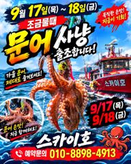 ????9월17~18일《문어 황금 물때》출조 모집~가을 최고 문어~