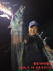 (실시간)통영VIP만물호 먼바다왕갈치 특대갈치(화요일 황제낚시각)!!