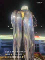 [여수,광양] <<<<여수 쓰리스타호>>>