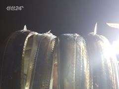 [통영최강리드호] 왕갈치 실시간 조황/씨알 좋습니다