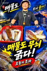 [ 무늬 팁런 ] 씨알급 시즌으로 돌입 중