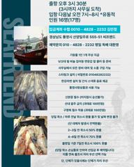 오늘의 입항조황... 개인의 차이는 있으나 씨알들은 좋습니다. 반쿨에서 만쿨조황까지.. 오늘 자리여유