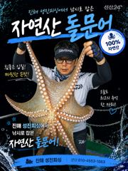 꾸준하게 올라오는 야간~돌문어 잡으러 출조 갑니다 @ 오늘~예약가능
