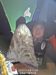 [먹물조황]삼천포문어조황!주간반,야간반매일출조!