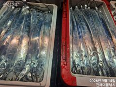 우와~내만칼치3지까지 어마어마하게 역대급 퍼담고 초대박,오늘예약가능~