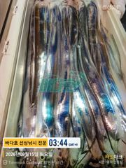 [[대림낚시바다호 ]] 왕갈치 조황 ~~