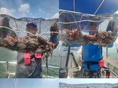 문어,키로,중치 130수,왕창,,(예약가능)