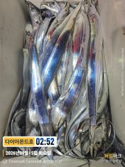 [진해] 갈치대박터지는중! 수요일부터 내만갈치 예약가능! 전화주세요~