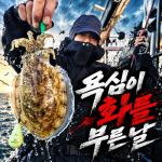 [팀바이트호] 9월15일 갑오징어 낚시