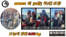 9/15 화 [11물] 쭈꾸미/갑오징어 조항 입니다.
