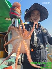 9.16 문어 달달한조황!^^예약문의 01044501114 사진