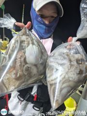 화요일 문어 망태기 조과~