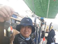 [사천] 왕쭈꾸미 피딩피딩