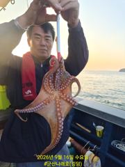 9/16 군산나래호(킹덤) 주간문어 실시간입니다 내일 자리 여유있습니다