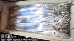 제주에이스호!!(9월14일) 대갈치 사냥다녀왔습니다010 35483472~0103860 3860{9.77톤22인승12석운)청결은보장