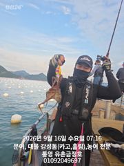 [통영] 통영 금정호 오전문어 시작부터 손맛 재미납니다 내일 자리여유있습…