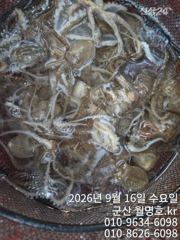 16일 오전반 사진