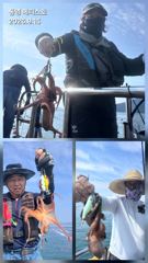 통영] 문어 사량도 굴어장 조황 15일(화) 통영 메티스호
