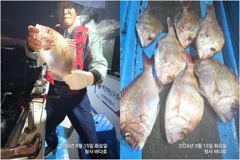 [부산] 참돔 4짜. 대박 왕전갱이 150 마리이상 조황.