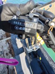 9월 16일 쭈 조황