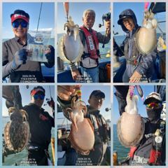 [무창포아파치호] 9월16일(수), 사릿 물때에도 장원 200수 육박, 갑오징어와 쭈꾸미들로 빵빵한 조황~ 추석 당일(25일,금)도 3자리여유~ 예약문의는 010-8422-0866~