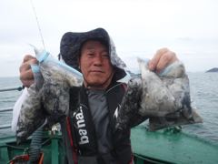 2026년 9월 17 ^굿 굿 굿^ 쭈꾸미 조황