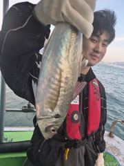 대전갱이~64cm참돔~부시리조황