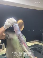 [진해] 은빛 텐빈 내만갈치 느나느나 조황 내일 무조건 출항 자리여유많음 사진