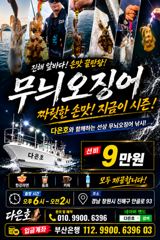 [진해] 무늬팁런 사이즈업 사이즈업