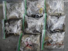 17일 최저가대왕쭈 초초대박 157수가왕쭈장원 151수,124수,118수,114수,114수........