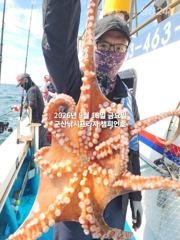18일, 군산문어,문어,문어.......덩치급 문어들, 마릿수 굿~좋아요~망탱이 굿굿~군산낚시프라자 챔피언호