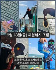 [피닉스피싱호] 9월 18일(금) 체험낚시 조황 - 조금 물때, 초보 조사님들도 손맛 톡톡히 봤습니다