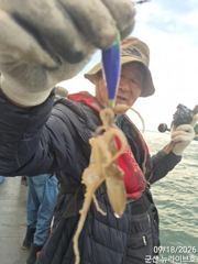 8일 뉴라이브호 동호화단체 주꾸미조황~~