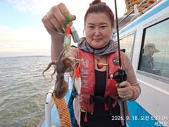 [오늘의조황] 9월 18일 쭈꾸미 갑오징어 출조 조황