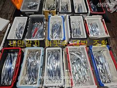 은빛 내만 갈치 텐빈 느나느나 조황 오늘 무조건 출항 자리여