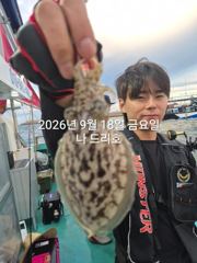 18일,군산쭈꾸미~좋은물때~잘나오고 있는 쭈꾸미~~실시간~~군산낚시프라자 나드리호