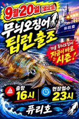 9월20일무늬팁런나갑니다