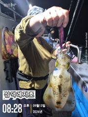 [팁런]씨알좋은 무늬들(오늘.소수인원.출항확정)