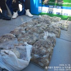 9월18일 뉴미라클호 10분 대박조황 사진