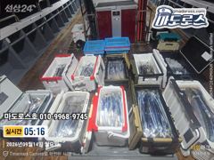 추전 연휴 도 날씨좋고 소수인원 5인 이상 바로 출항합니다
