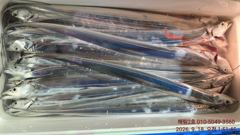 ((해림2호))내만.사량권 갈치 마릿수~~예약중 사진