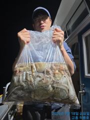 18일 오후반 조황 올려드려요
