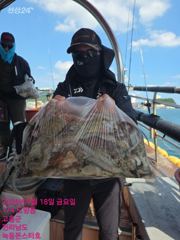 녹동몬스터호 18일 주간 문어 조황. 오늘도 대박~~!!