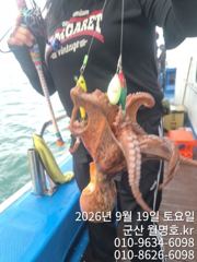 19일 월명호 쭈꾸미 오전반 실시간 문어다 문어