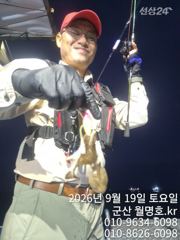 19일,군산쭈꾸미~오늘도 잘 나오고 있어요~문어,갑이는 덤~실시간~군산낚시프라자 월명호