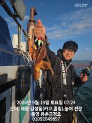 통영 금정호 오전문어 실시간 싸이즈에 마릿수 좋습니다 오늘오후 내일오전 자리있습니다