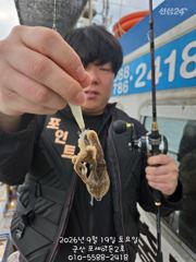 19일,군산쭈꾸미~ 잘 나오고 있어요~문어,갑이는 덤~실시간~군산낚시프라자 포세이돈 2호