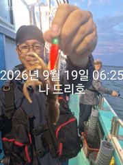 19일,군산쭈꾸미~씨알 좋은 쭈꾸미 잘 나오고 있어요~문어,갑이는 덤~실시간~군산낚시프라자 나드리호